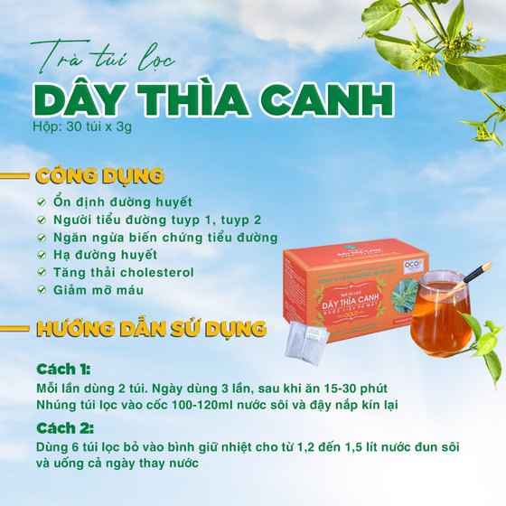 Trà túi lọc dây thìa canh