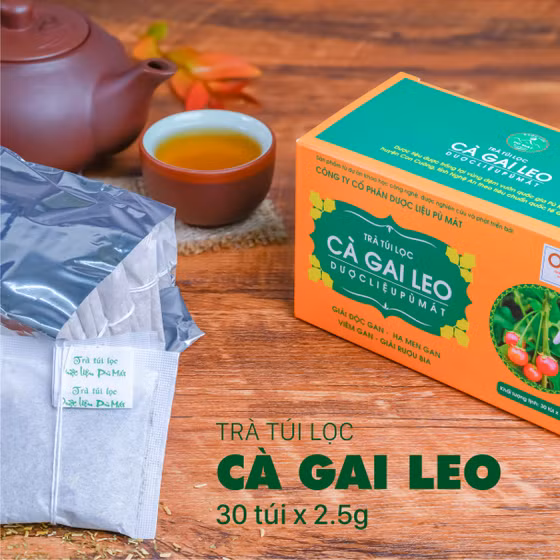 Trà túi lọc Cà gai leo