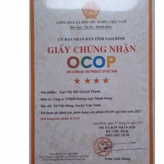 Gạo nếp bắc Quỳnh Thanh
