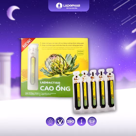 Ladoactiso cao ống