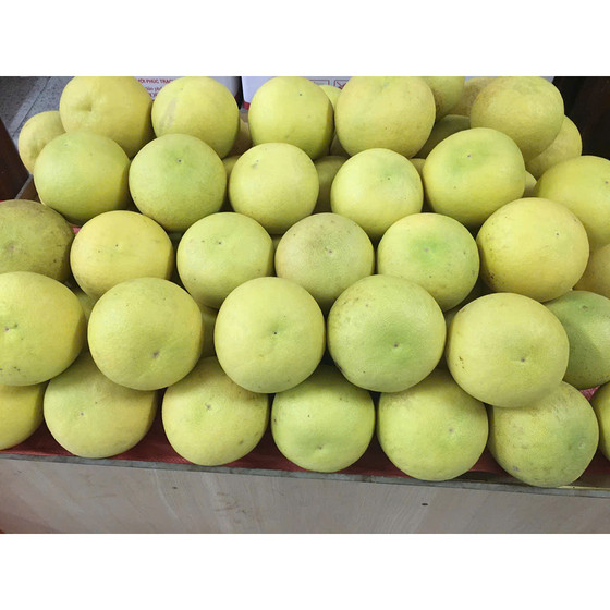 Bưởi Phúc Trạch Bắc Sơn