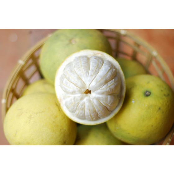 Bưởi Phúc Trạch Bắc Sơn