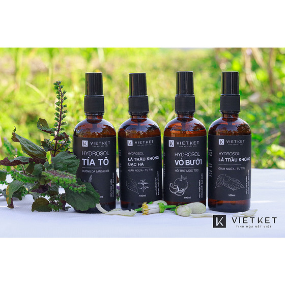 Hydrosol lá trầu không bạc hà