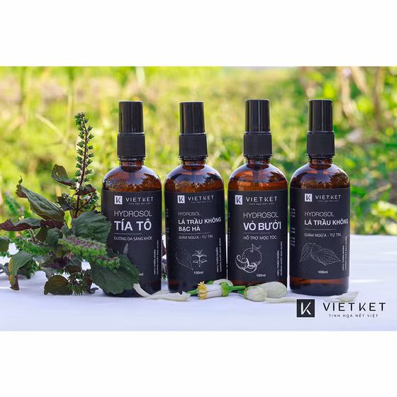 Hydrosol lá trầu không bạc hà