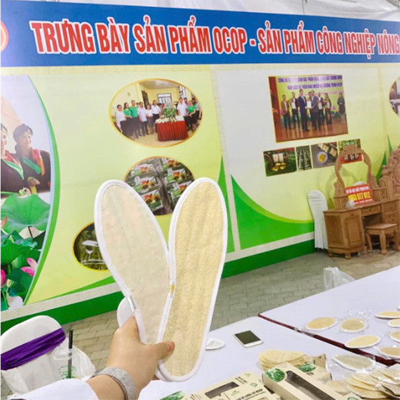 Lót giày xơ mướp