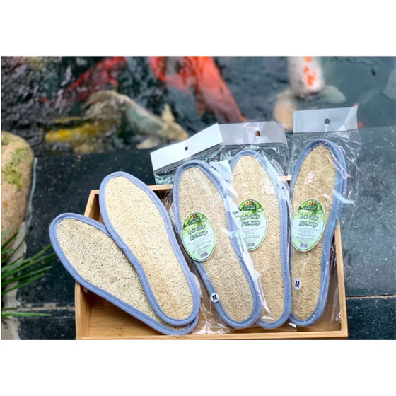 Lót giày xơ mướp