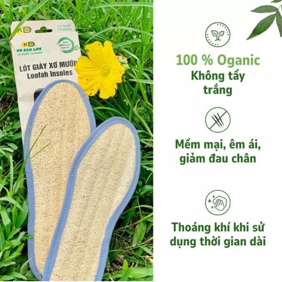 Lót giày xơ mướp