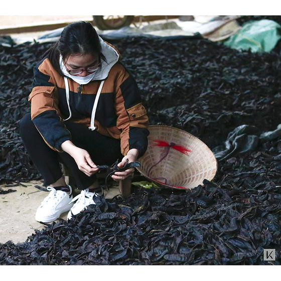 Dầu gội đầu bồ kết-hà thủ ô