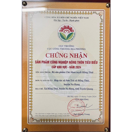 Chè Shan tuyết Hồng Thái 1 tôm 2 lá 