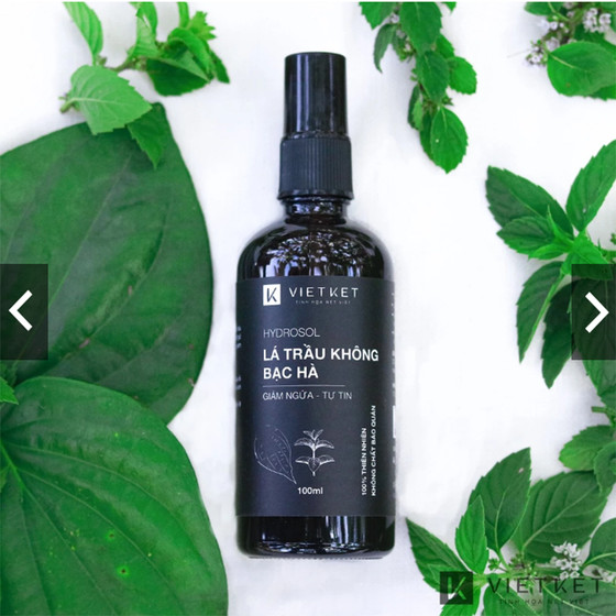 Hydrosol lá trầu không bạc hà