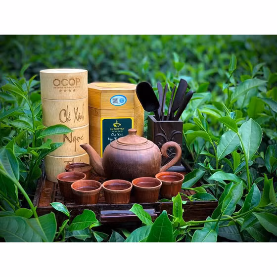 Chè xanh Ngọc Thúy nõn