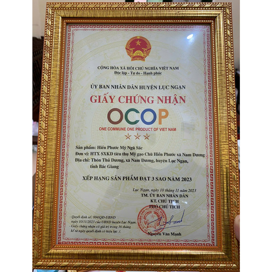 Hiền Phước mỳ ngũ sắc