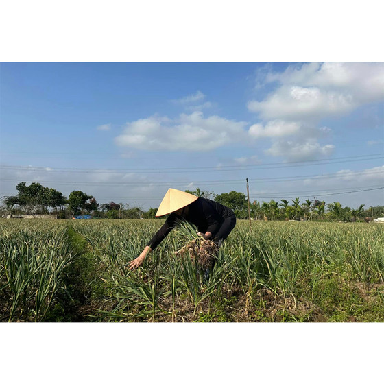 Tỏi đen An Thịnh