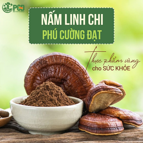 Nấm linh chi Phú Cường Đạt