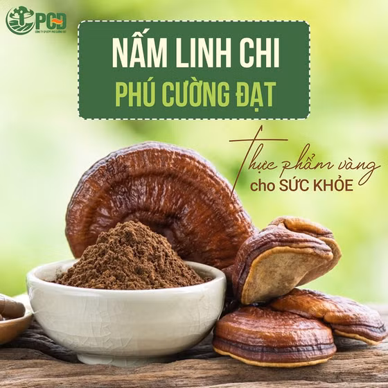 Nấm linh chi Phú Cường Đạt
