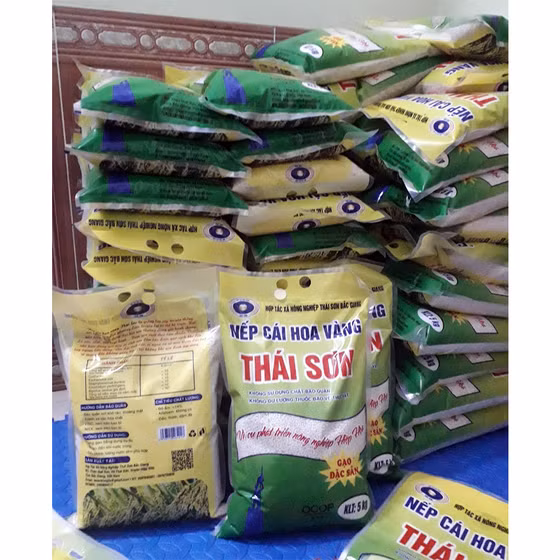 Gạo nếp cái hoa vàng Thái Sơn