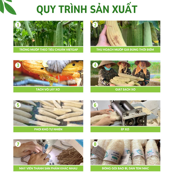 Lót giày xơ mướp
