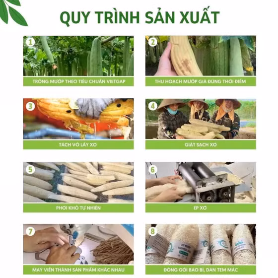 Dép-tông xơ mướp