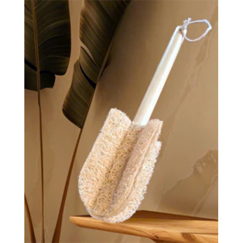 Cây rửa ly bốn cánh