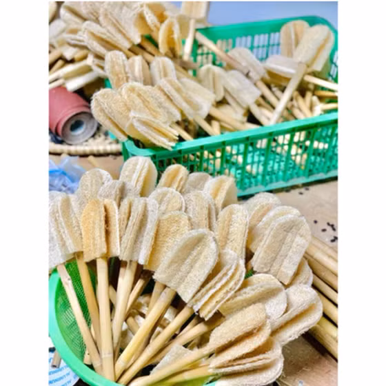 Cây rửa ly bốn cánh