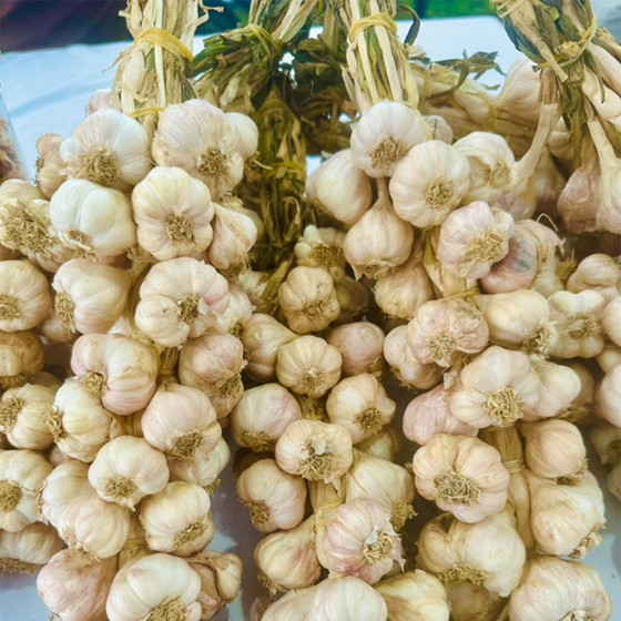 Tỏi cắt lát sấy khô bà Lý