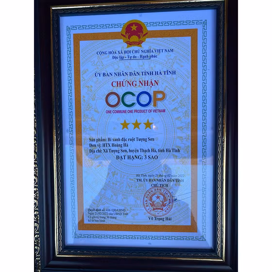 Bí xanh ruột đặc Tượng Sơn