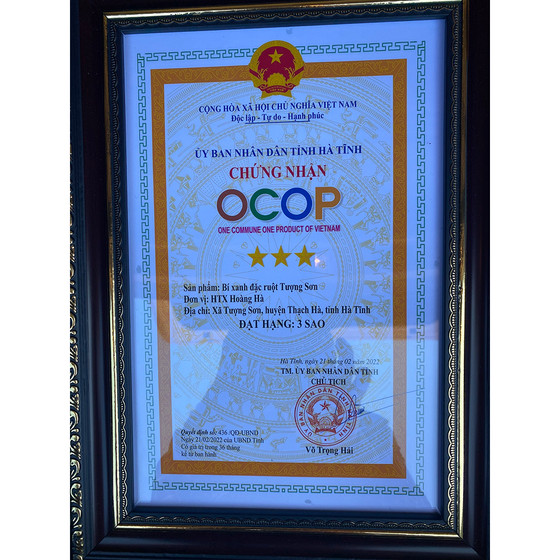 Bí xanh ruột đặc Tượng Sơn