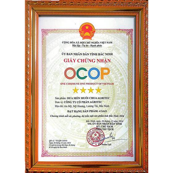 Dưa món muối chua ngọt Agritec