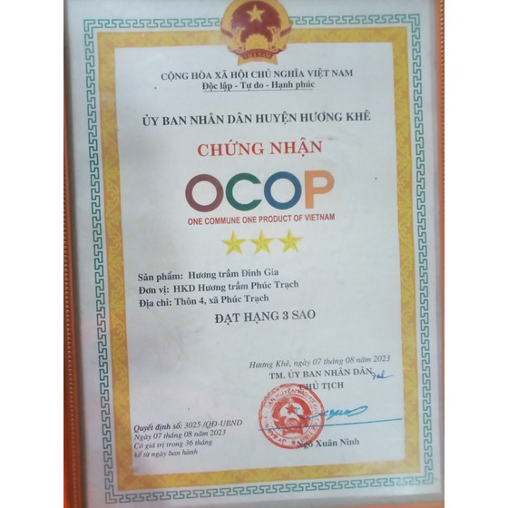 Hương trầm cao cấp Đinh Gia