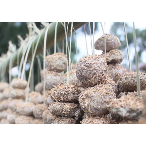 Rượu ngô Na Hang Chi Tín