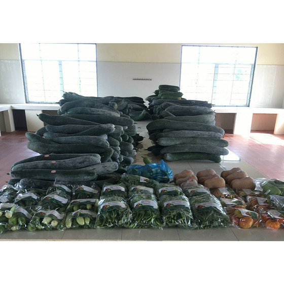 Bí xanh ruột đặc Tượng Sơn