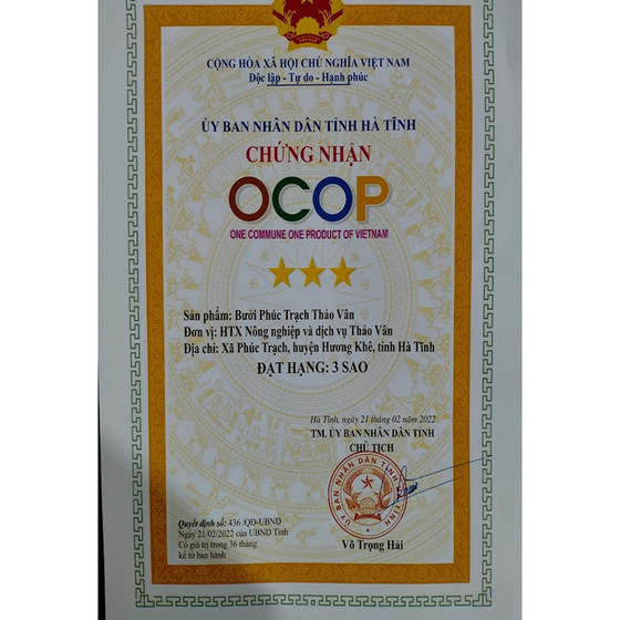 Bưởi Phúc Trạch Thảo Vân