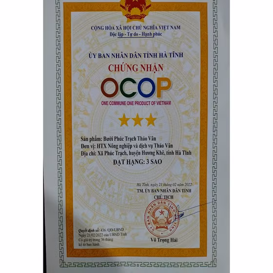 Bưởi Phúc Trạch Thảo Vân