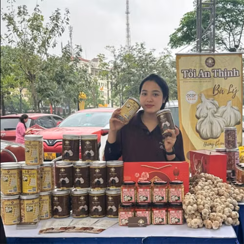 Tỏi đen An Thịnh