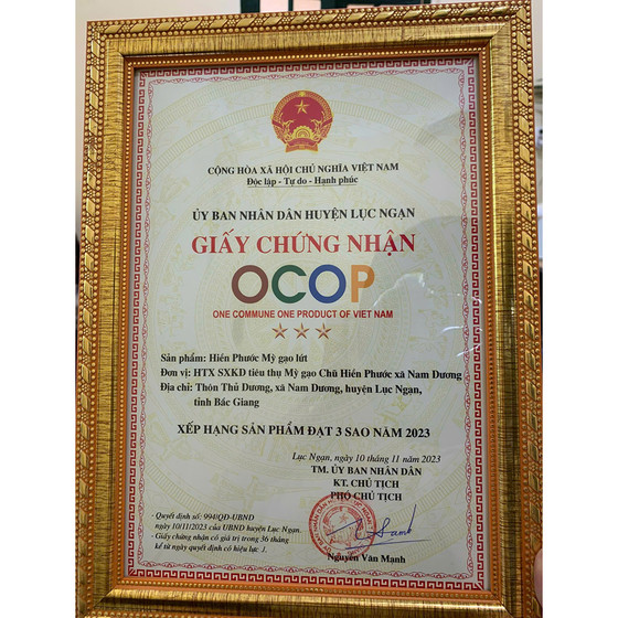 Hiền Phước mỳ gạo lứt