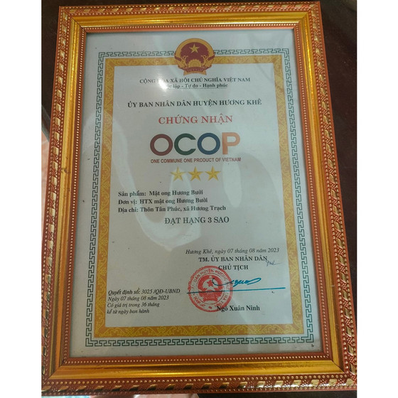 Mật ong hương bưởi