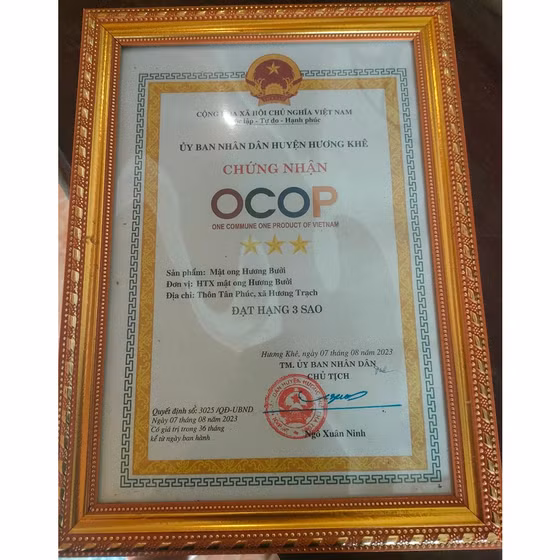 Mật ong hương bưởi