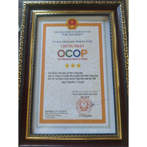 Nấm linh chi Phú Cường Đạt