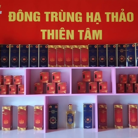 Đông trùng hạ thảo Thiên Tâm
