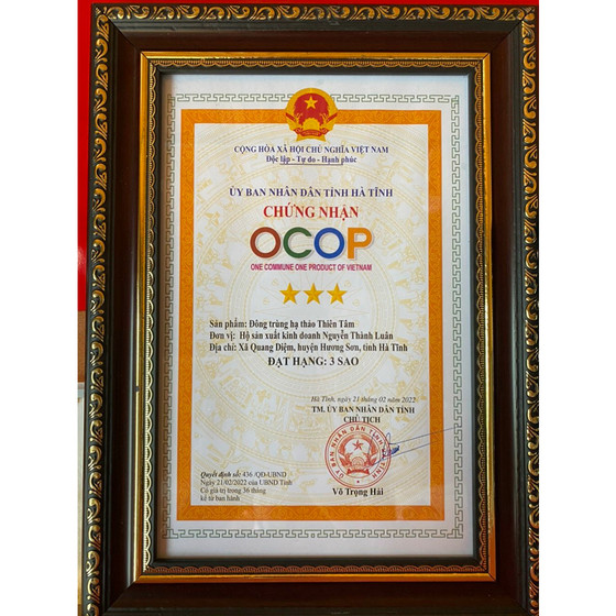 Đông trùng hạ thảo Thiên Tâm