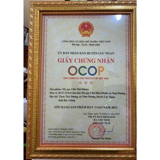 Mỳ gạo Chũ Thủ Dương