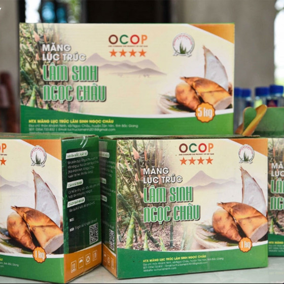 Măng Lục trúc tươi Lâm Sinh Ngọc Châu 