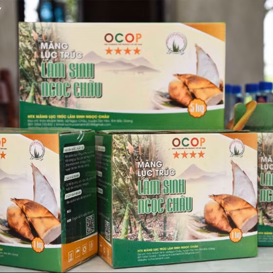 Măng Lục trúc tươi Lâm Sinh Ngọc Châu 