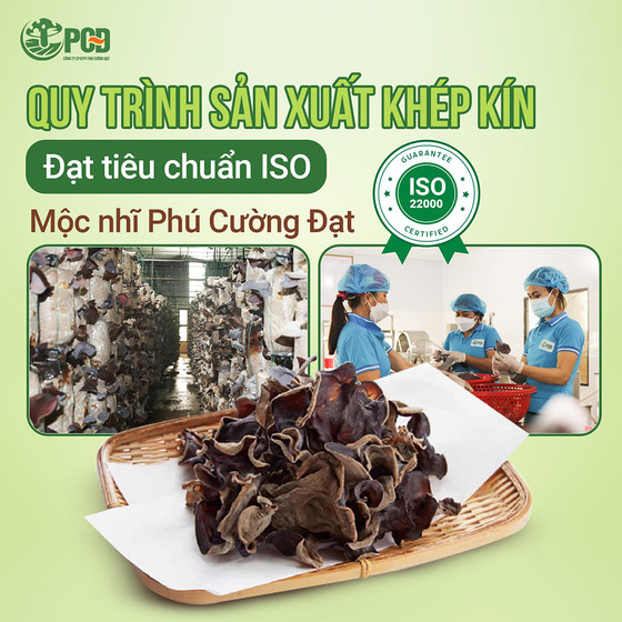 Nấm mộc nhĩ Phú Cường Đạt