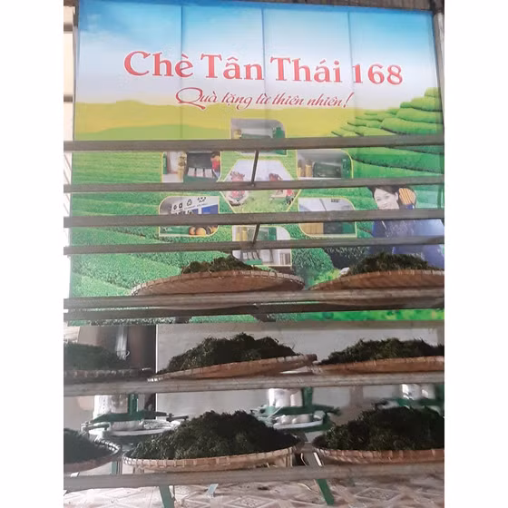 Chè nõn Tân Thái Dương 168