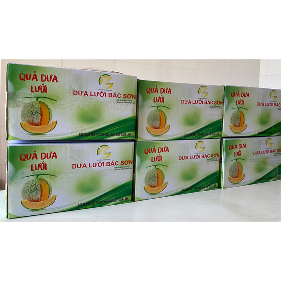 Dưa lưới Bắc Sơn