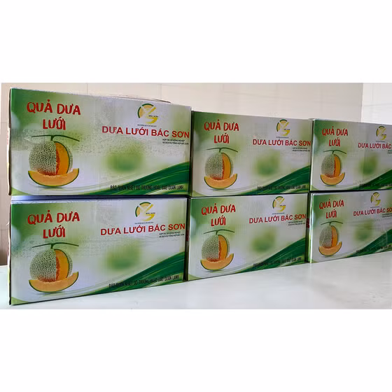 Dưa lưới Bắc Sơn