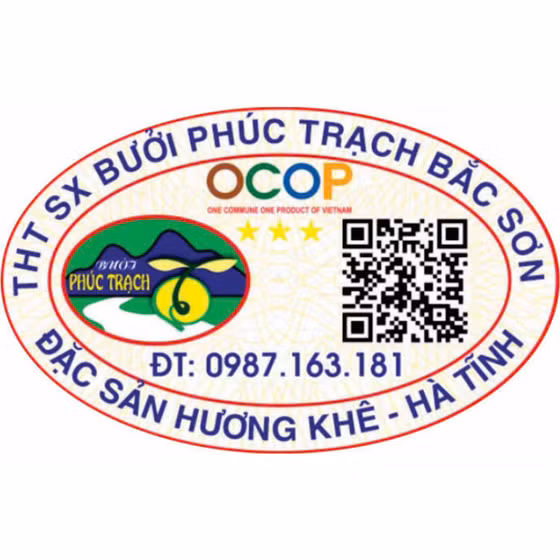 Bưởi Phúc Trạch Bắc Sơn