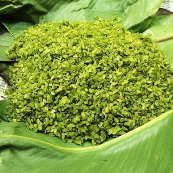 Cốm xanh Thượng Giáp
