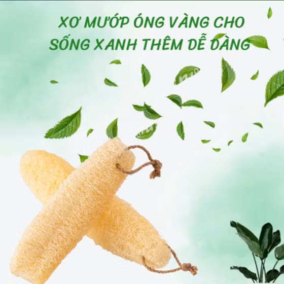 Miếng rửa bát xơ mướp